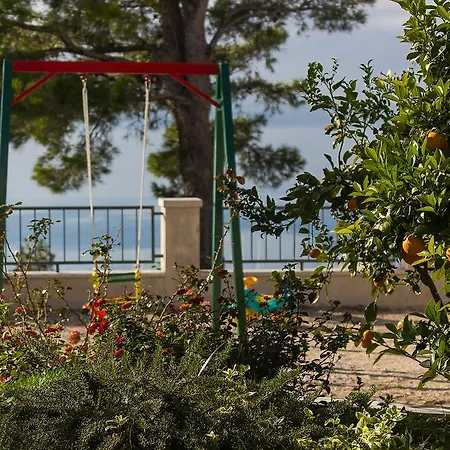 Ana * 바스카보다